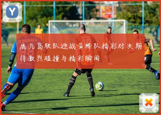 鹿儿岛联队迎战黄蜂队精彩对决期待激烈碰撞与精彩瞬间