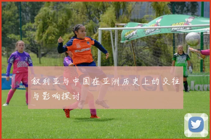叙利亚与中国在亚洲历史上的交往与影响探讨