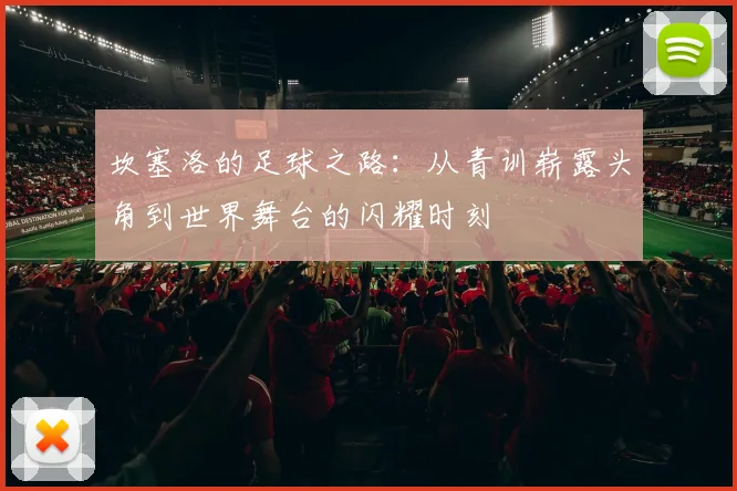 坎塞洛的足球之路：从青训崭露头角到世界舞台的闪耀时刻