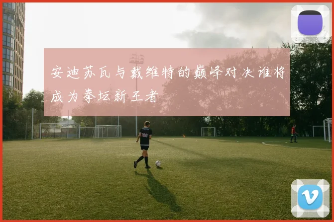 安迪苏瓦与戴维特的巅峰对决谁将成为拳坛新王者