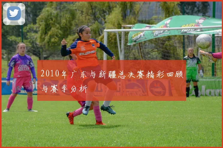 2010年广东与新疆总决赛精彩回顾与赛季分析