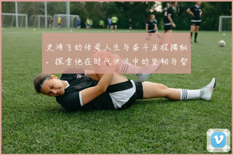 史鸿飞的传奇人生与奋斗历程揭秘，探索他在时代洪流中的坚韧与智慧